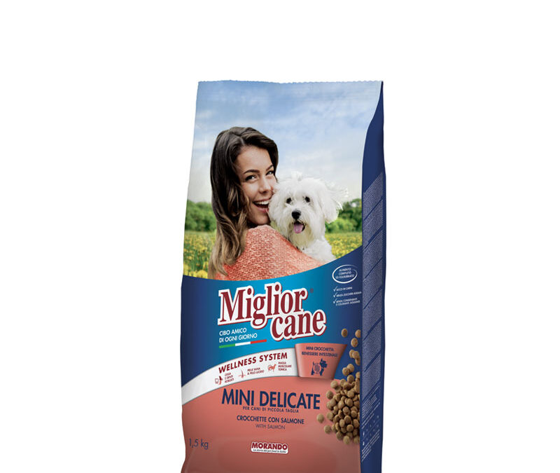 Crocchette con Salmone