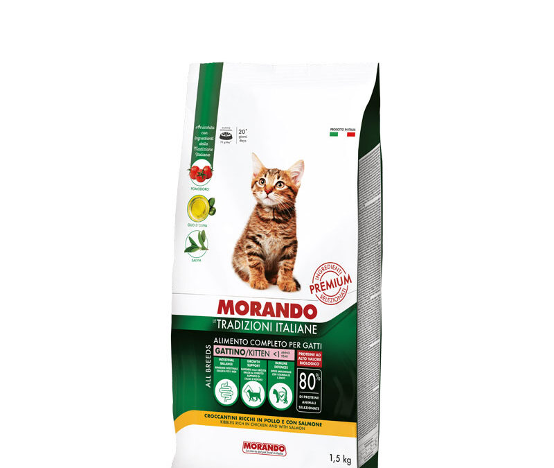 Croccantini ricchi in Pollo con Salmone