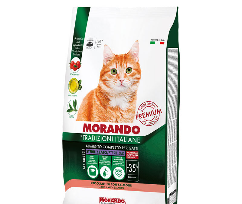 Croccantini con Salmone