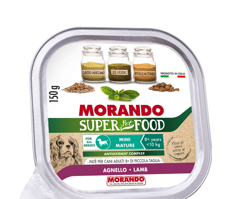 ADULT MINI MATURE Patè Agnello