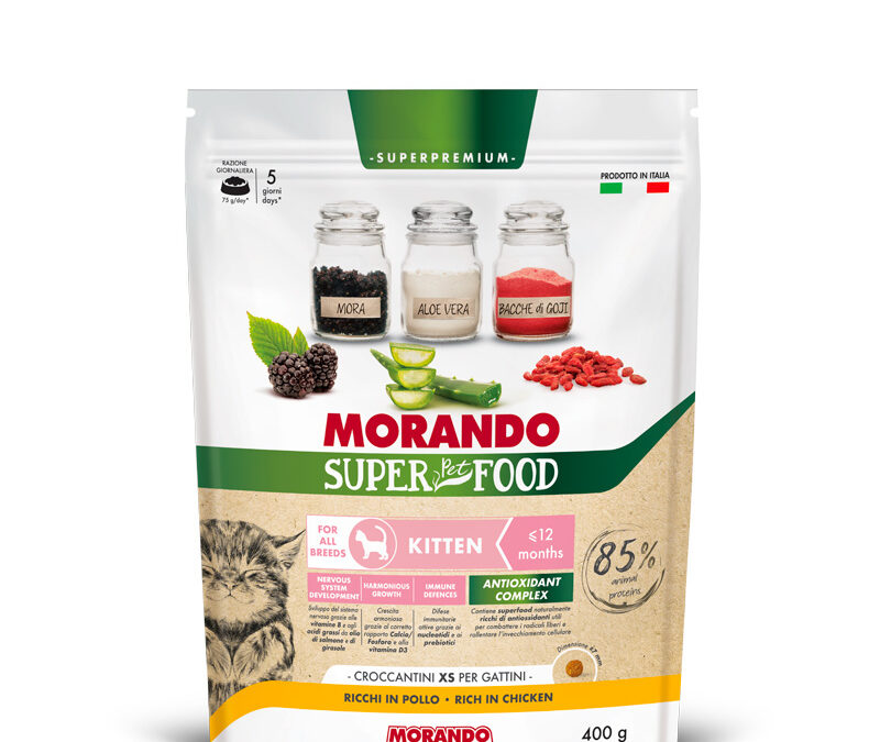 KITTEN Ricchi in Pollo